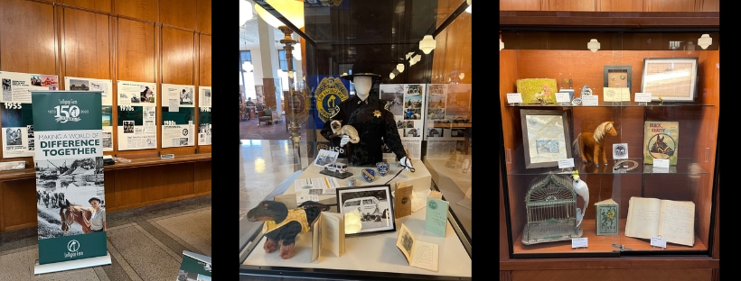 images from Lollypop Farm exhibit